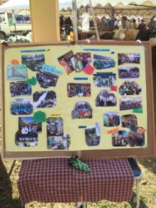 %e5%86%99%e7%9c%9f-2016-11-13-9-57-40