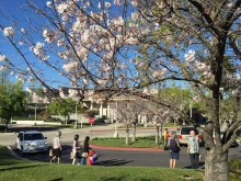 .facebook_1458356784961